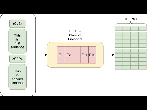 Mastering BERT: Bird Algorithm, RoBERTa, and SageMaker Processing