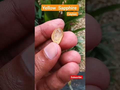Ceylon  Yellow Sapphire #srilankangemstones #sapphire #yellowsapphire #ceylongems