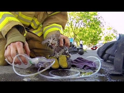 GoPro: Fireman Saves Kitten - UCqhnX4jA0A5paNd1v-zEysw