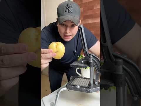 MELHOR FORMA DE FAZER BATATA FRITA