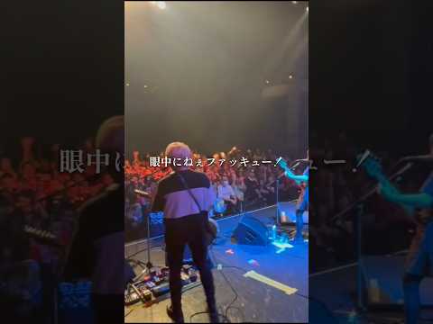 ゴッドタンのエンディングテーマ「ポッポルンガ」はライブで超盛り上がる #プピリットパロ #邦ロック #ゴッドタン #エンディング #フェス #音楽 #バンド #shorts #short #メロコア