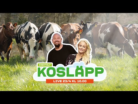 Arla Kosläpp LIVE - Lördag 23 april 2022