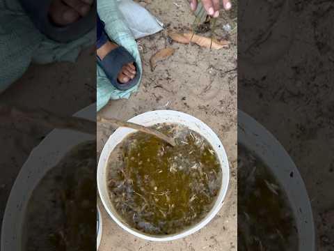 أقوي سماد طبيعي لتقوية وتسريع نمو الأشجار والنباتات سيغنيك عن باقي الأسمدة اصنعه بمنزلك مجاناً