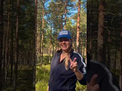 Грибники В ШОКЕ‼️ БЕЛЫЕ ГРИБЫ в ПОЛЕ ЧУДЕС!