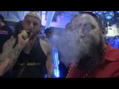 Miami Cannabis Party at Live UFC MMA Event