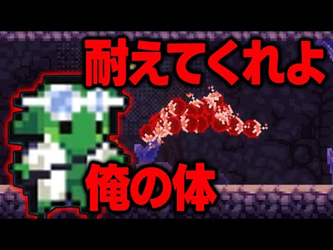 【Peglin】久々の爆弾構築でヒリつきたい!!【part60】