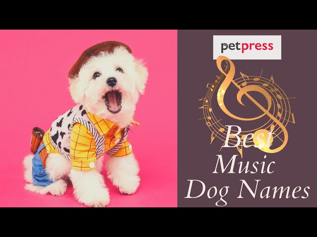 Folk Music Inspired Dog Names