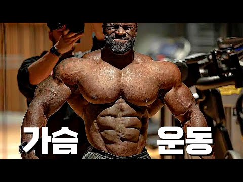 미스터 올림피아 가슴 운동 상급 노하우ㄷㄷ