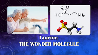 Taurine - The Wonder Molecule