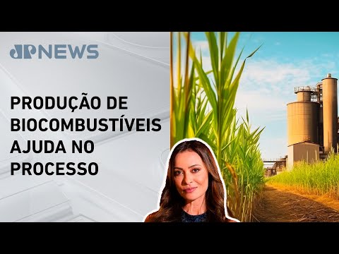 Brasil pode liderar produção energética no mundo; Patrícia Costa explica