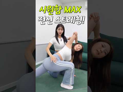 세상에서 가장 시원한 스트레칭