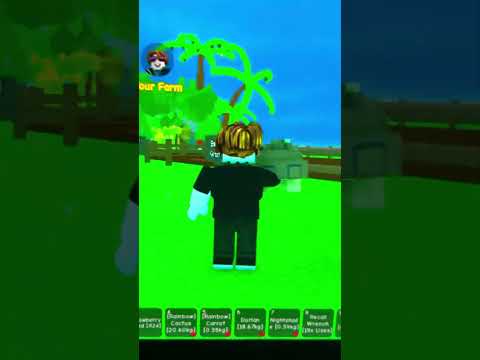 You shall fight me with my hedgehog 