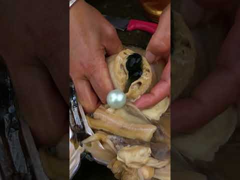 It's worth it to come here today to pick pearls