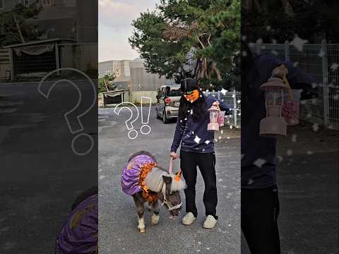 🎃Happy Halloween!! give me candy🍬♥️