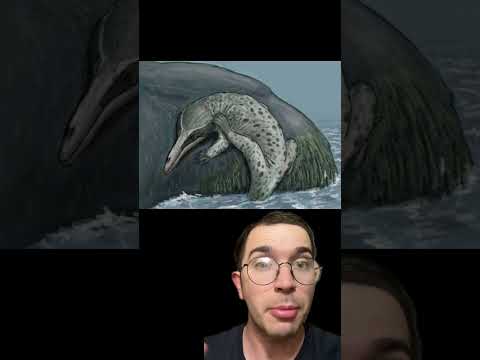 #динозаври #палеонтологія #dinosaur #кити #тварини