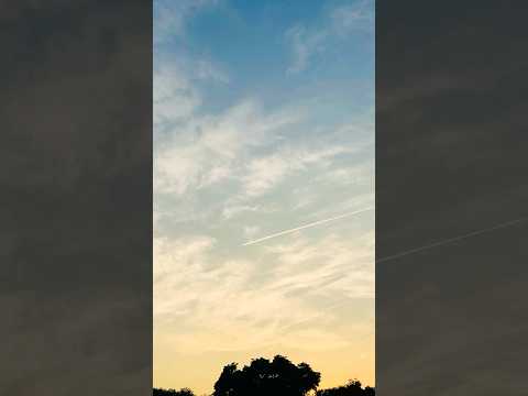 【あ、ひこうき雲だ✈️】#contrail #空 #軌跡 #shorts #youtubeshorts #sky サムネイル