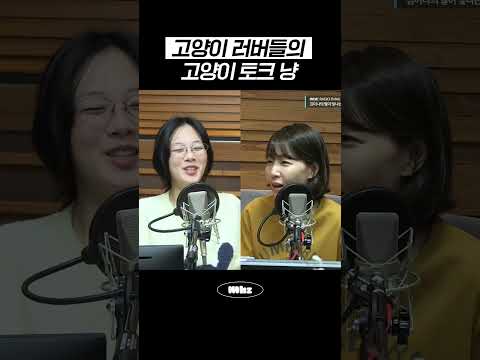 고양이 러버들의 고양이 토크 냥 #MBCRADIO #김이나의별이빛나는밤에 #비비