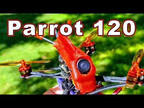 HGLRC Parrot 120 Toothpick Micro Drone  - UCnJyFn_66GMfAbz1AW9MqbQ