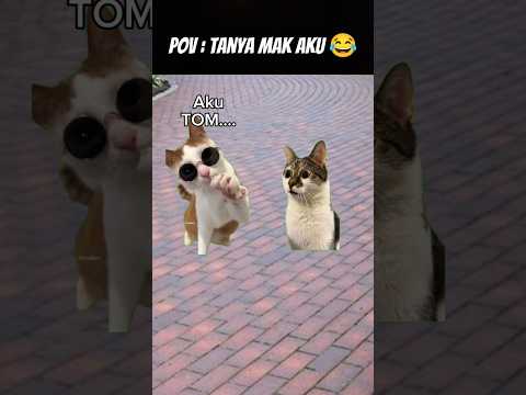 #meme #cat #kucing #animation #funny #fypシ