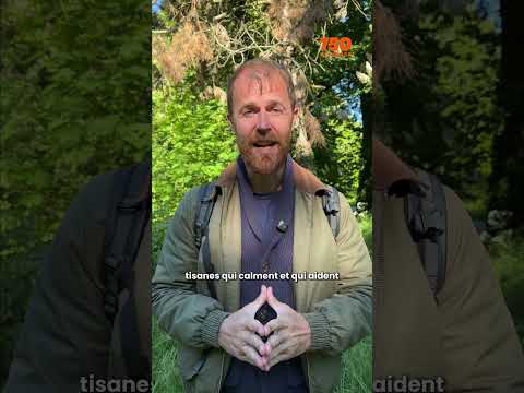 On a trouvé le meilleur spot de courses (et c
