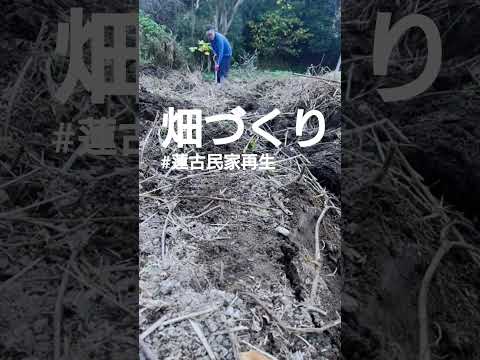 畑づくり#古民家#再生#japan