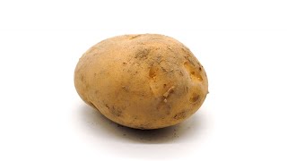 potatoになっていく 歌ってみた (Vocal: 青沢カオル)