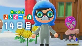 【あつ森】【シリーズ完全初見】14日目🏠初めてカブを買ってみようと思う🏠【🐟 瀬名あいみVtuber🐟 】