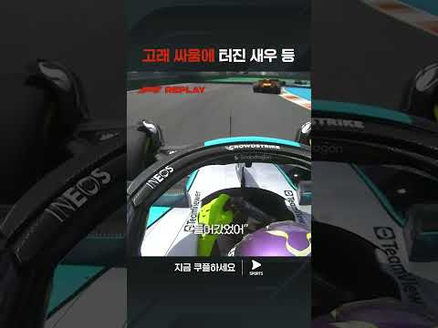 2024 F1ㅣ마이애미 그랑프리ㅣ예상 못한 충돌로 밀려나는 노리스