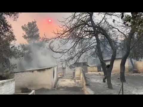 Εικόνες καταστροφής από το πέρασμα της φωτιάς στη Φυλή