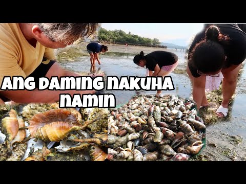 NANGUHA KAMI NG SHELL SA DAGAT|DAMING NAKUHA NAMIN|PINAS VLOG 2022