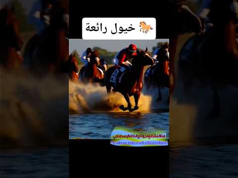 RACE OF FURY: Wild Horses Battle in the Heart of the Wilderness! . #aicreatedvideos #aishortfilm