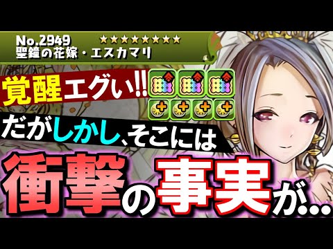 【なんでやねん】花嫁エスカマリが魔改造でトンデモ覚醒の持ち主にwwwでもよーく見ると...？～ジューンブライドイベント～【パズドラ】