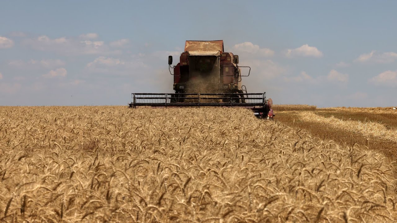 Russia axes grain deal: What you need to know