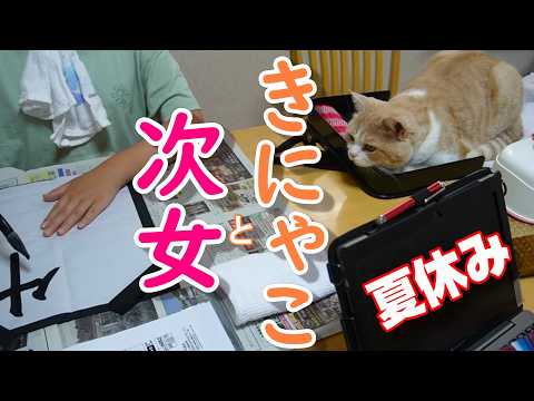 次女ときにゃこの夏休み~書道を邪魔する!?猫は憎めない【スコティッシュフォールド】【アビシニアン】