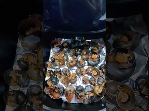 Grilled snails#food #shortvideo #shorts