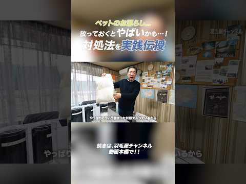 外側だけ洗うのと羽毛を取り出して洗うのでは、これだけの差がある！続きはYouTube本編で！ #shorts #short #羽毛 #布団 #寝具 #睡眠 #リフォーム
