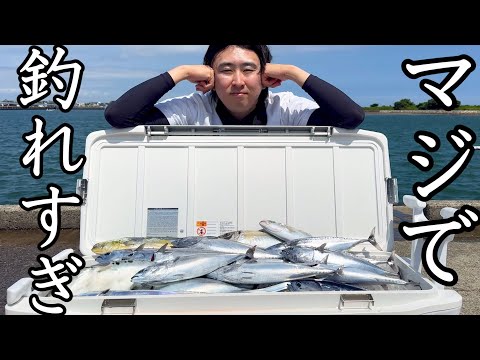 あの海域。やっぱヤバすぎます。