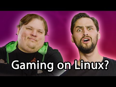 Microsoft Should be VERY Afraid - Noob's Guide to Linux Gaming - UCXuqSBlHAE6Xw-yeJA0Tunw