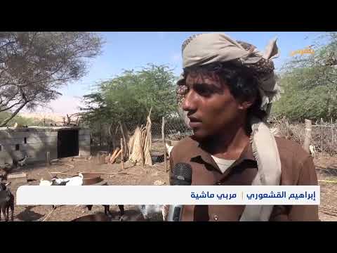 قناة بلقيس الفضائية