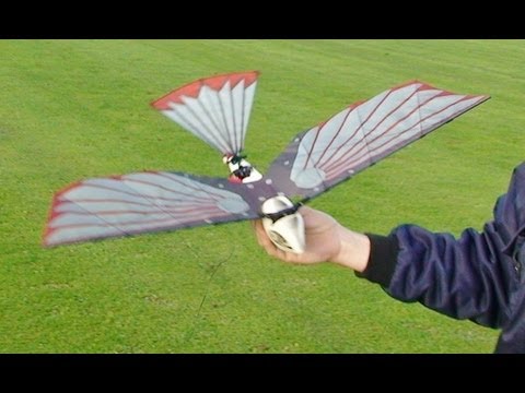 CYBIRD - ORNITHOPTOR - RC ROBOT BIRD AT HDMFC - UCMQ5IpqQ9PoRKKJI2HkUxEw