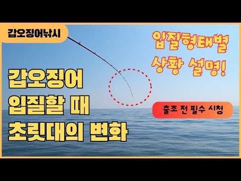 (입질 <strong>상황별</strong> 설명)