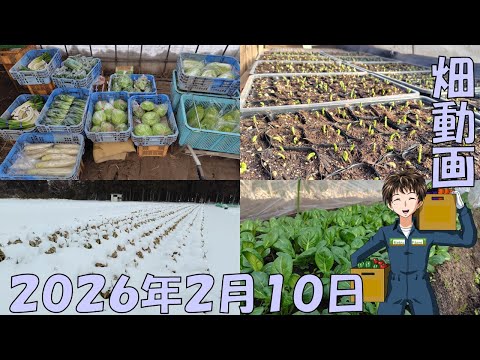 【26/2/10】今週は暖かいようなので春に向けての準備が進みそう！
