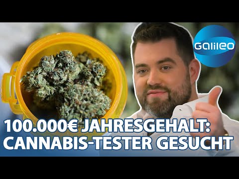 Als Cannabis-Sommelier bis zu 100.000€ im Jahr verdienen