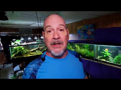 Friday Night Fish N Hits w/ Dan Join this channel to get access to perks_
https_//www.youtube.com/channel/UCBdxLXjOdp26Ke8NQRt7eBg/j