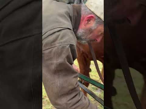 Hooking and Unhooking with Donn Hewes. Check out the full video on our channel!