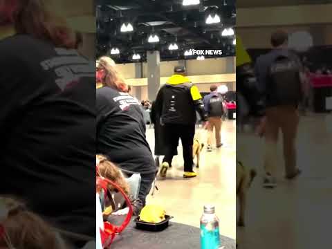 Selma Blair spotted at 90s Con following flight incident #shorts
