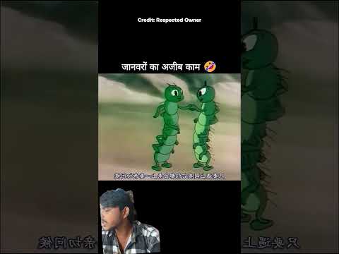 जानवरों का अजीब काम🤣#shorts#shortvideo#funny