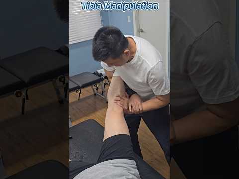 카이로프랙틱 교육 무릎 후방경골, 내반슬 <strong>조정</strong> Tibia adjustment #카이로프랙틱 #카이로프랙틱교육 #chiropractic #무릎 #오다리교정 #varus #척추교정