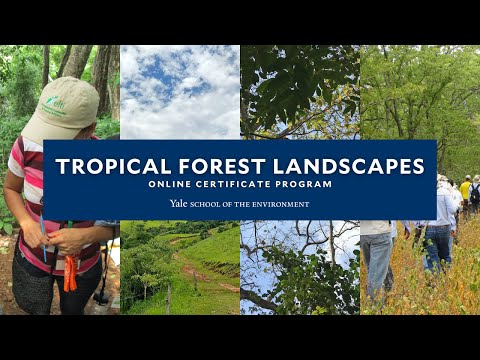Tropical Forest Landscapes Online Certificate | Yale University