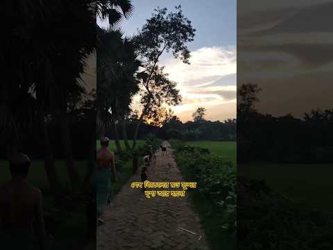 উপভোগ্য, বৈচিত্র্যময় জনপদের সৌন্দর্য্য তো এখানেই। #nature #villagelifestyle #গ্রাম #shorts
